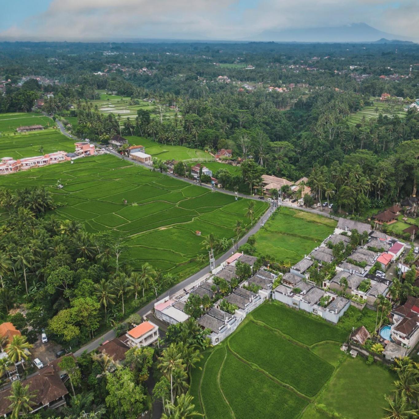 Asvara Villa Ubud By Ini Vie Hospitality מראה חיצוני תמונה